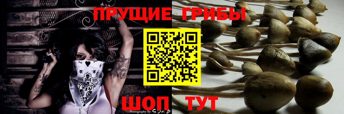 Псилоцибиновые грибы мицелий  Галлюциногенные грибы ЛСД  Гудермес  Вход с VPN 